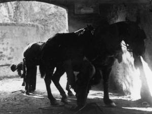 Cremona. Il maniscalco di vicolo Chiesa. Interno della bottega un operaio e un garzone stanno cambiando i ferri a due cavalli.