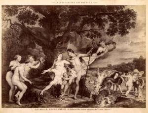 Dipinto - Adone trattenuto da Venere - Pieter Paul Rubens - Firenze - Galleria degli Uffizi