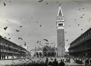 Venezia - Piazza San Marco - Campanile di San Marco - Piccioni
