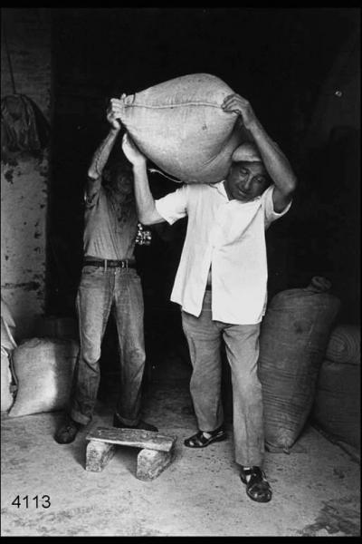 Mulino. Il mugnaio Carlo Zaina si carica sulle spalle un sacco di farina aiutato da un altro uomo anziano.