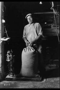 Mulino. Il mugnaio Carlo Zaina sta pesando un sacco di farina.