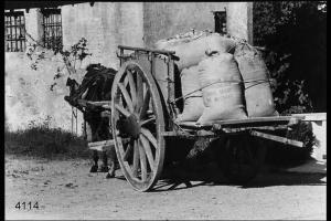 Carretto  trainato da un mulo carico di sacchi di farina davanti al  mulino.