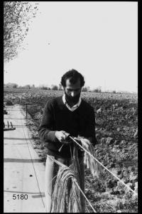 Il lavoro dei cordai di Castelponzone. Il cordaio porta alla vita la fune per trasmettere il moto all'aspo. Tipo di torcitoio che puo essere usato anche da una sola persona.