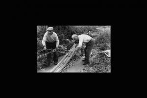 Il lavoro dei cordai di Castelponzone. I due cordai, leggermente chinati, iniziano ad ottenere la corda utilizzando un apposito strumento chiamato "masol" che intreccia i legnoli.