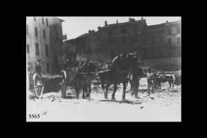 Cremona. Lavori di demolizione in piazza Marconi. Cavalli con carretti che trasportano il terriccio. Sullo sfondo le case.