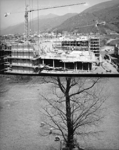 Cantiere UBS - Unione Banche Svizzere . Fotocomposizione; immagine doppia. Seconda immagine: prato con grosso albero ed alcune pecore.