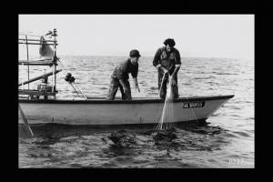 Pescatori ritirano le reti.