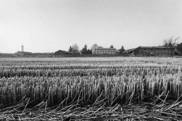 Azienda Agricola f.lli Arrigoni. Coltivazione: riso. Campo di riso, sullo sfondo l'azienda e la casa padronale.