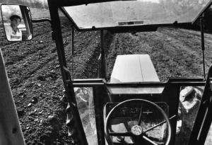 Azienda Agricola di Paolo Locatelli e figlio. Coltivazione: orzo. Aratura. L'immagine è ripresa dall'interno della macchina agricola: nello specchietto laterale sinistro è riflessa l'immagine del conducente.