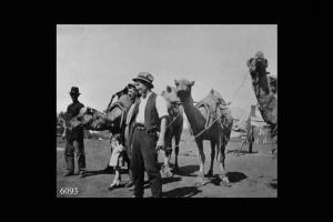 Trasporto merci su cammelli