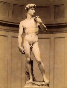 Scultura - David - Michelangelo Buonarroti - Firenze - Galleria dell'Accademia