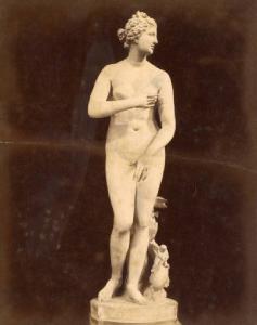 Scultura - Venere dei Medici - Cleomene figlio di Apollodoro - Firenze - Galleria degli Uffizi - La Tribuna