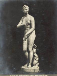 Scultura - Venere dei Medici - Cleomene figlio di Apollodoro - Firenze - Galleria degli Uffizi - La Tribuna
