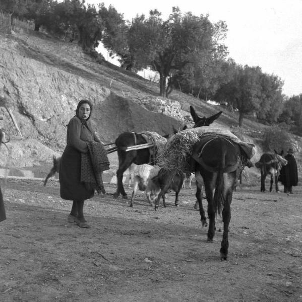 Melissa (Crotone) - Contadina con muli e caprette in una strada di campagna