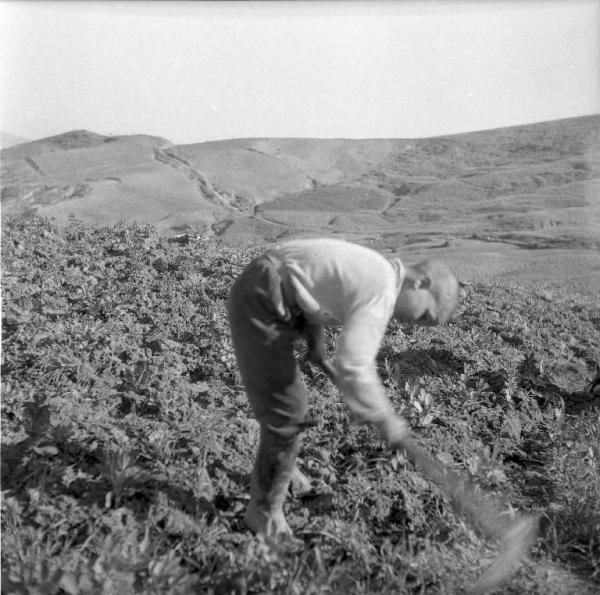 Melissa (Crotone) - Bambino al lavoro in un campo