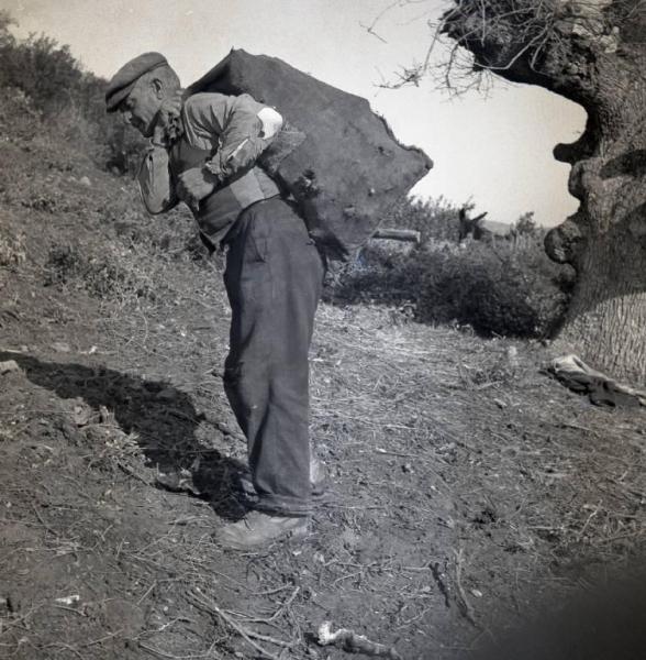 Melissa (Crotone) - Anziano contadino con sacco di legna in spalla in un campo