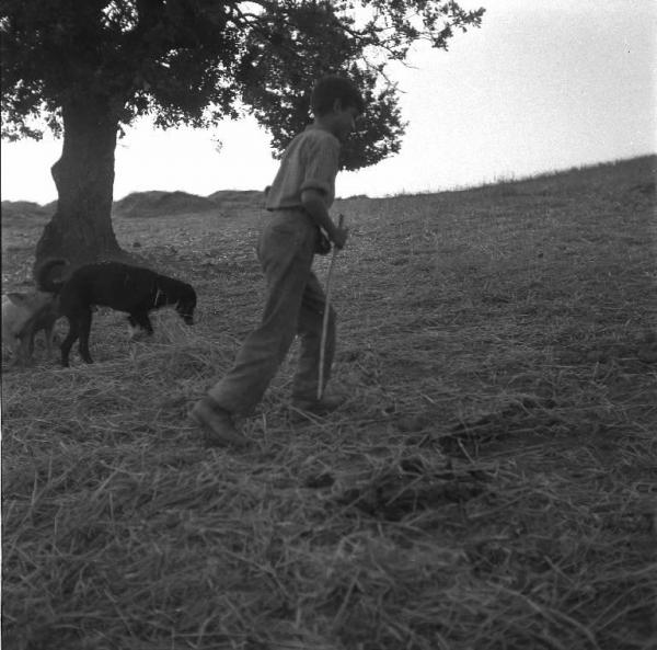 Melissa (Crotone) - Ragazzo con cane in un campo