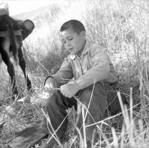 Melissa (Crotone) - Bambino seduto in un campo