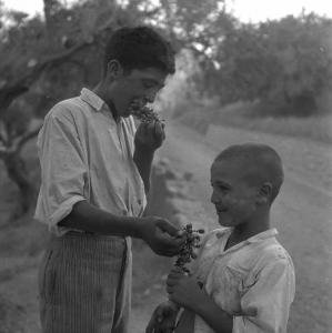 Melissa (Crotone) - Ragazzo e bambino che mangiano uva in una strada di campagna