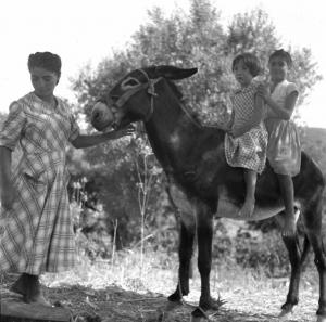 Melissa (Crotone) - Giovane contadina e due bambine su asino in un campo