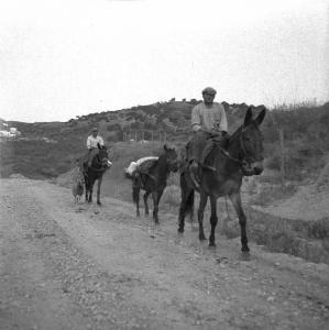 Melissa (Crotone) - Contadini su muli in una strada di campagna
