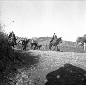 Melissa (Crotone) - Contadini su muli e a piedi in una strada di campagna