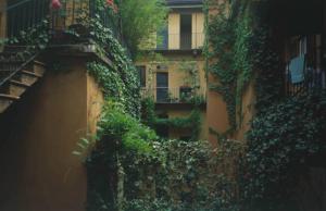 Milano, Via Fiori Chiari - Casa di ringhiera - cortile interno e balconi coperti di rampicanti