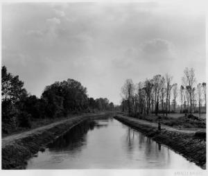 Lodi Vecchio - canale della Muzza - campi - vegetazione