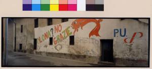 Pero - fiume Olona - muro - graffiti