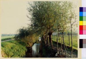 Mairano di Casaletto Lodigiano - fiume Lambro - canale secondario - campi