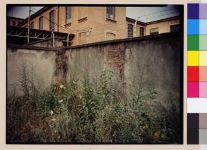Vaprio d'Adda - edificio industriale - muro di cinta - vegetazione
