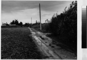 Grezzago - strada sterrata che fiancheggia dei campi agricoli - centro abitato