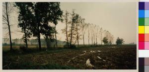 Casarile - riserva faunistica - campi coltivati dopo la raccolta del granoturco