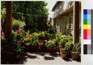 Rosate - villa Oldrati - casa per anziani - cortile interno - giardino