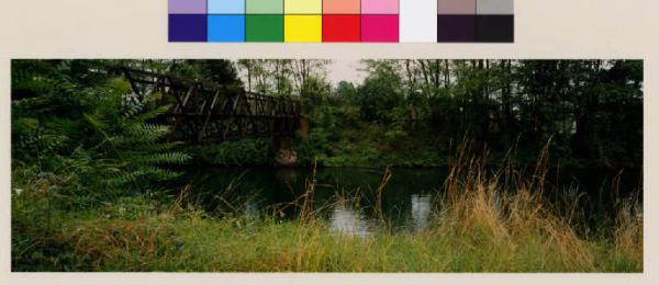 Castano Primo - canale Villoresi - ponte in ferro - vegetazione