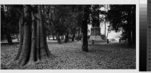 Cinisello Balsamo - Villa Ghirlanda Silva Cippelletti - Parco storico - Obelisco - Alberi