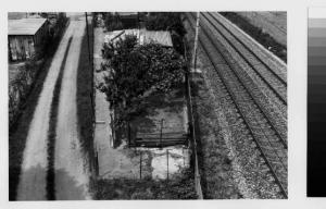 Cormano - orti nei pressi della linea ferroviaria - strada sterrata