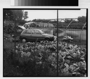 Buscate - orti coltivati - recinzione - automobile