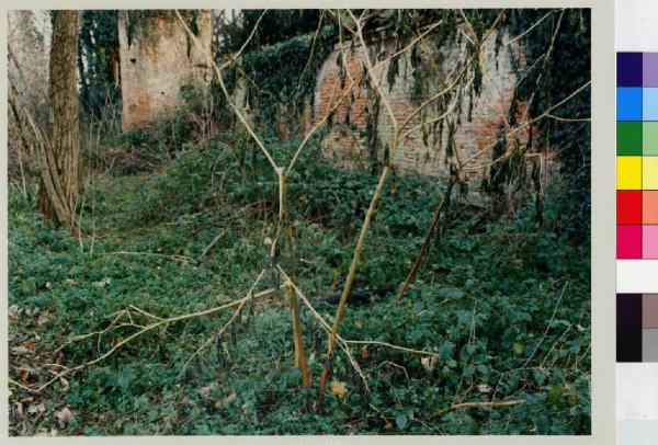 Cassinetta di Lugagnano - villa Maineri - muro di cinta - vegetazione