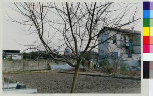 Boffalora sopra Ticino - via Dante - orti coltivati - abitazione