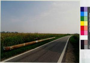 Vernate - strada provinciale 163 - campi di grano