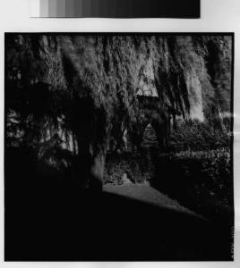 Inveruno - via cavour - giardino interno - alberi - cappella di San Rocco