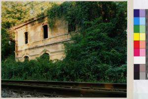 Abbiategrasso - viale Cattaneo - casello ferroviario abbandonato - binari della ferrovia - vegetazione