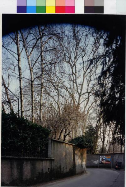 Ronco Briantino - parco di villa Perego - strada in direzione nord-est - muro di cinta
