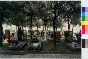 Carnate - cimitero - tombe - alberi
