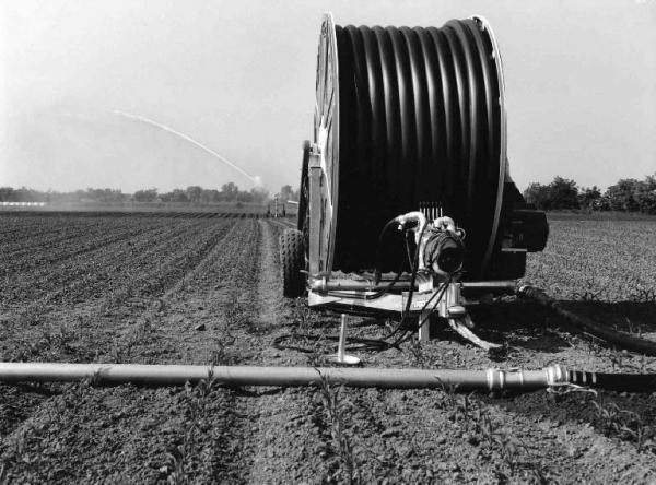 Campo seminato - tubo per l'irrigazione avvolto in bobina