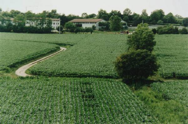 Campo coltivato - fattoria