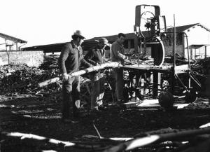 Taglio della legna - tre uomini ad una sega industriale