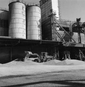Cooperativa agricola - silos per cereali - stabilimento