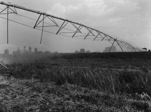 Campo coltivato - struttura per irrigazione rainger